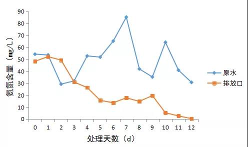 乳制品氨氮超標快速降解